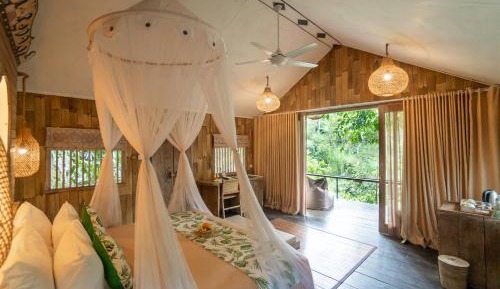 Suite Jungle Lodge with Daily Afternoon Tea