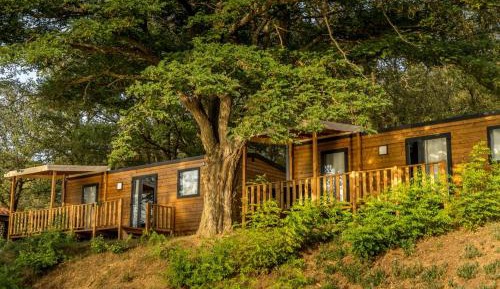 Mobile Home