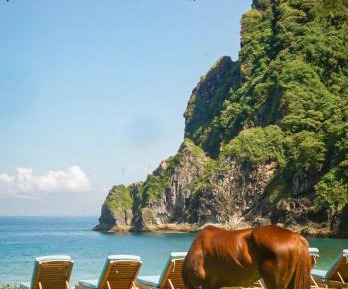 Ocean View Bungalows
