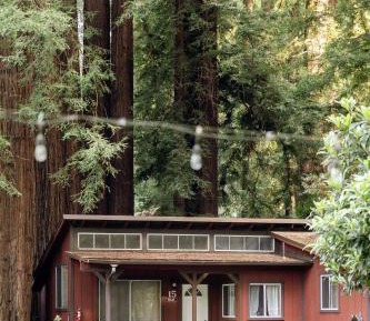 Double Studio Cabin (Cabin 15)