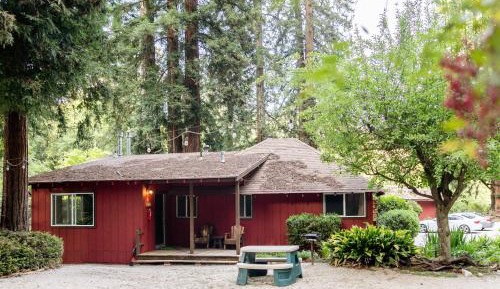 One-Bedroom Cabin (Cabin 11B)