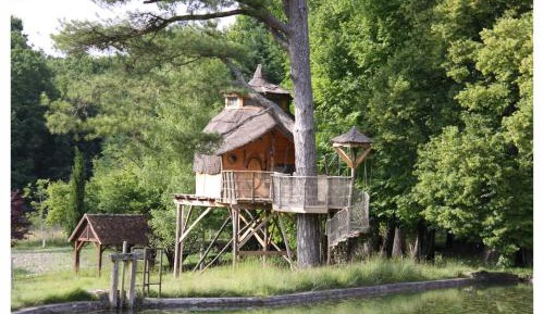 Tree House