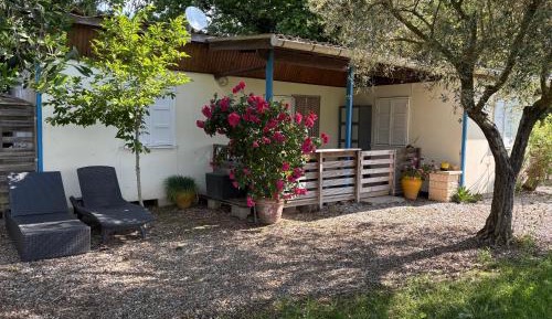 Double Room with Garden View