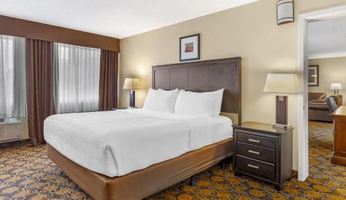 King Suite with Sofa Bed and Fireplace