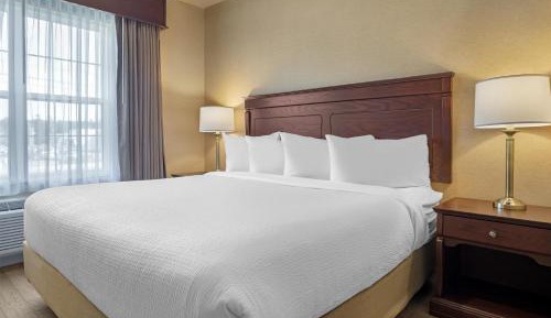 One-Bedroom King Suite with Sofa Bed and Rain Shower - Non-Smoking