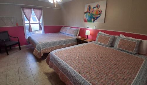 Deluxe King Suite