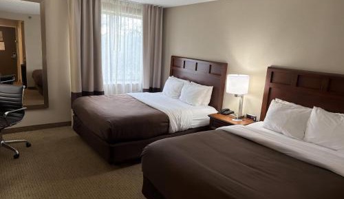 Queen Room with Two Queen Beds - Non-Smoking