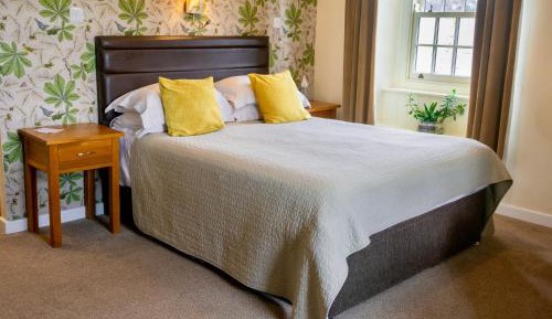 Superior King Room with Shower "Not Pet Friendly"