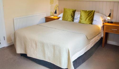 Double Room with Shower "Not Pet Friendly"