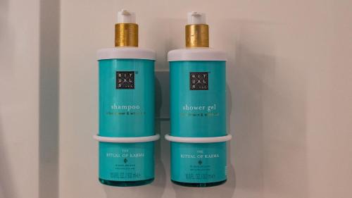 Queen Suite with Sofa Bed