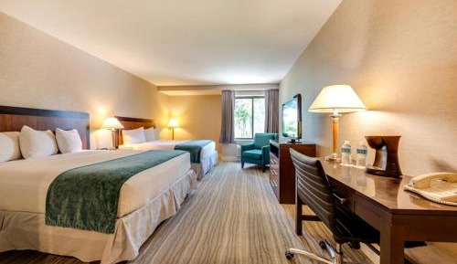 Double Room - Disability Access