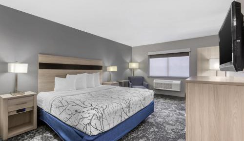 King Room - Pet Friendly/Non-Smoking