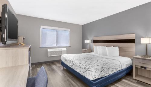 King Room with Mobility Accessible Tub - Pet Friendly