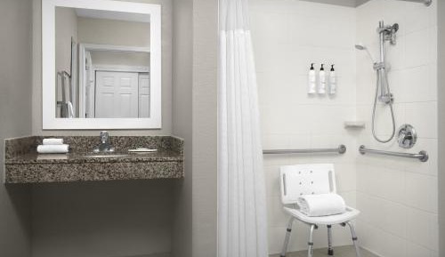 Queen Studio with Sofa Bed and Roll-in Shower - Mobility and Hearing Accessible