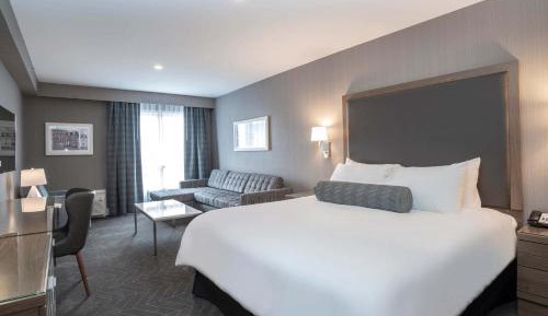 Standard Room, 1 King Bed, Sofa Bed