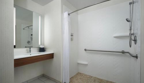 Standard King Room with Mobility Accessible Roll-In Shower