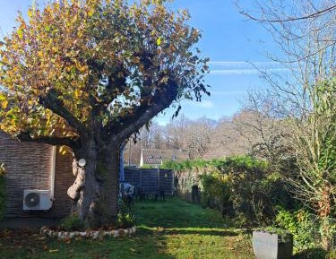 One-Bedroom Apartment with Garden