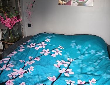 Studio with Sofa Bed