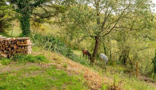Four-Bedroom Vacation Home