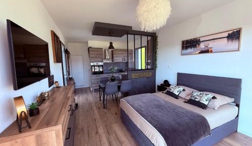 Studio with Mountain View