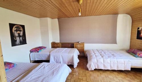 6-Bed Mixed Dormitory Room