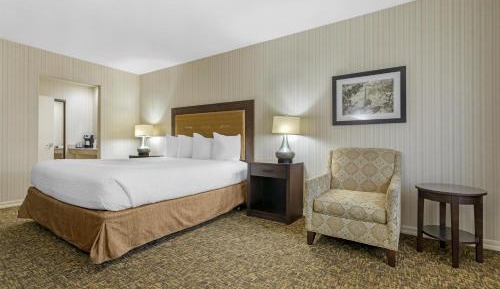 King Room with Roll-In Shower - Mobility Access/Communication Assistance