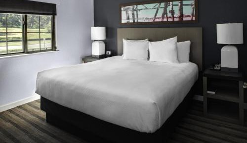 One-Bedroom King Suite