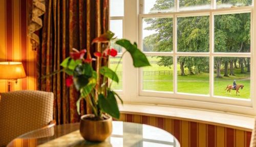 Grand Master Suite with One Double Bed