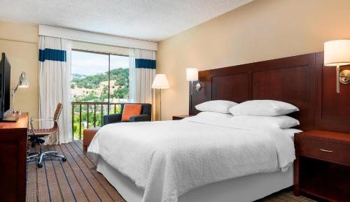 Deluxe King Room with Patio