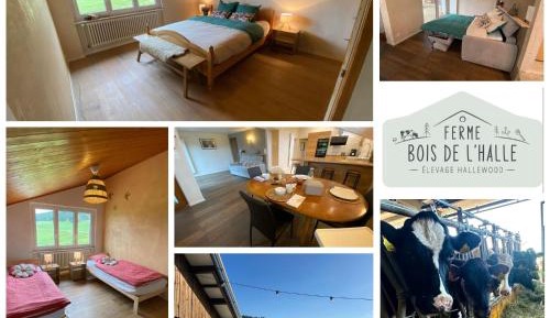 Two-Bedroom Deluxe Apartment