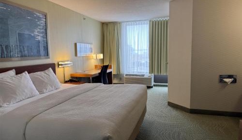 King Room with Roll-In Shower, Sofa Bed and Wet Bar - Disability/Non-Smoking