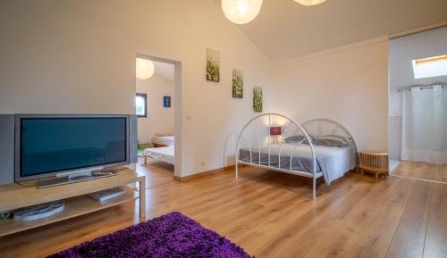 Deluxe Room (2 Adults + 1 Child)