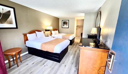 Standard Double Room - Non-Smoking