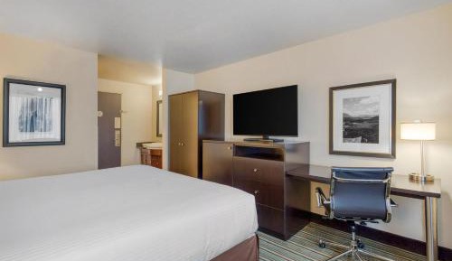 King Room - Non-Smoking