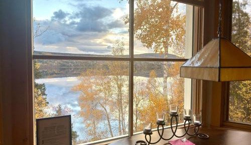 One-Bedroom Premium Apartment