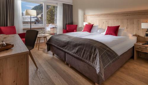 Double Room with Mountain View - South