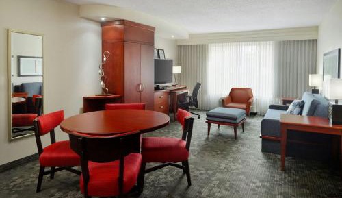 One-Bedroom King Suite