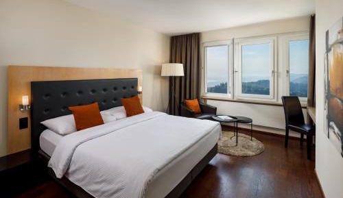 Panorama Room Mountain and Lake View