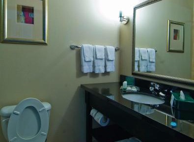 King Room - Mobility Access/Hearing Accessible
