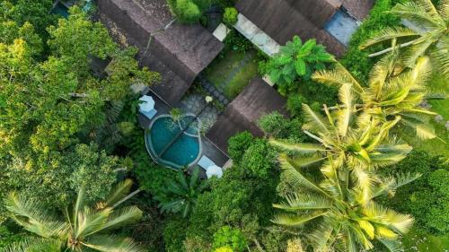 One Bedroom Pool Villa with Jungle View