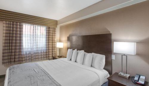 King Room with Roll-In Shower - Mobility Accessible