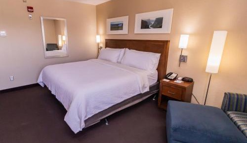 King Room with Roll-in Shower - Disability Access/Non-Smoking
