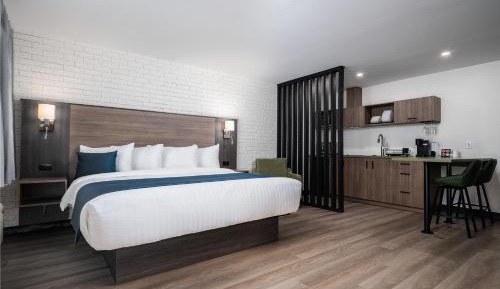 Studio Apartment with King Bed