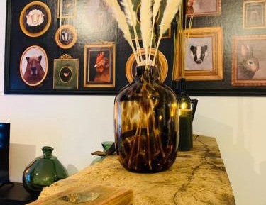 Superior One-Bedroom Apartment