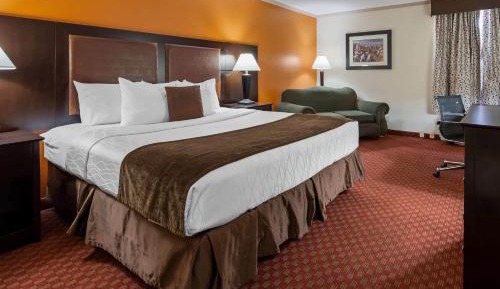 King Room with Mobility/Hearing Access and Roll-In Shower, Non-Smoking