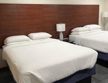 Deluxe Double Room with Shower