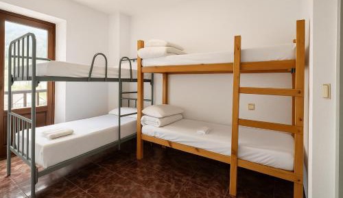 Single Bed in 6-Bed Dormitory Room