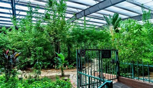 Garden Queen Room