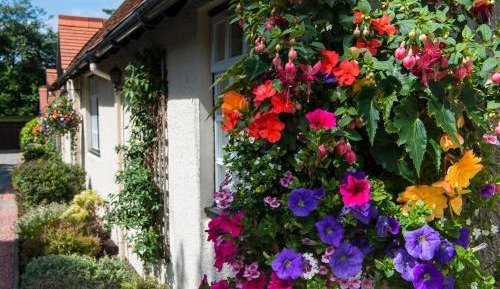 Mews Double or Twin Room