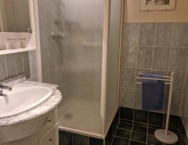 Family Room with Shower